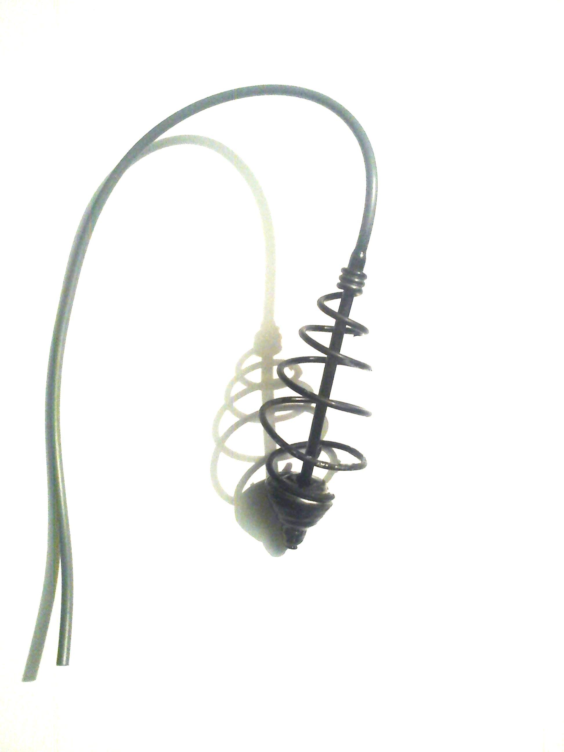 Plumbi si momitoare - dsc00053.JPG